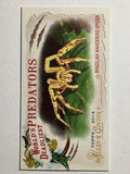 2014 Allen and Ginter Mini World's Deadliest Predators Wandering Spider (NM)