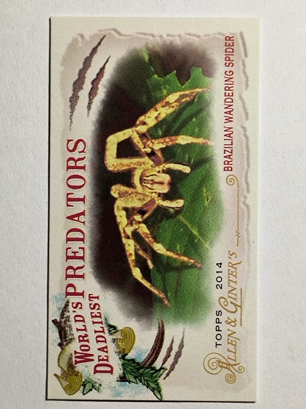 2014 Allen and Ginter Mini World's Deadliest Predators Wandering Spider (NM)