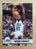 1993-94 Hoops Fifth Anniversary Gold #213 David Benoit