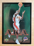 2003-04 Upper Deck Victory #209 Jason Richardson AKA