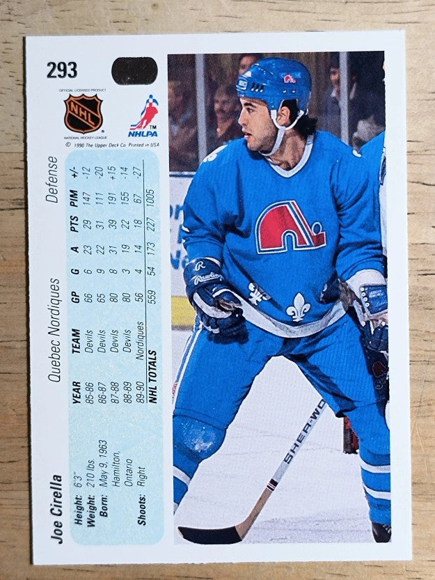 1990-91 Upper Deck #293 Joe Cirella