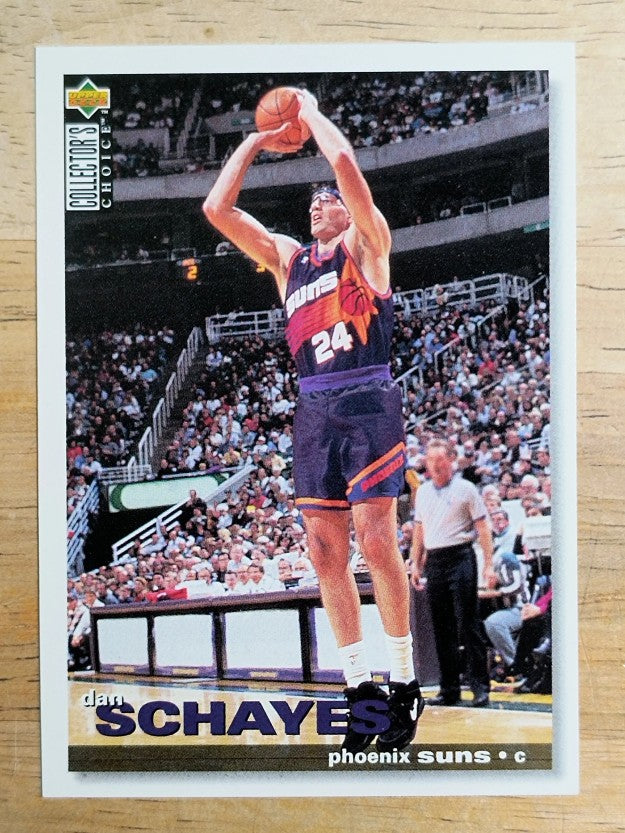 1995-96 Collector's Choice #130 Danny Schayes