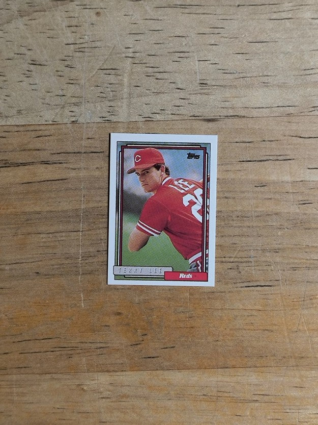 1992 Topps Micro #262 Terry Lee