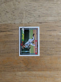 1992 Topps Micro #369 Steve Whitaker RC
