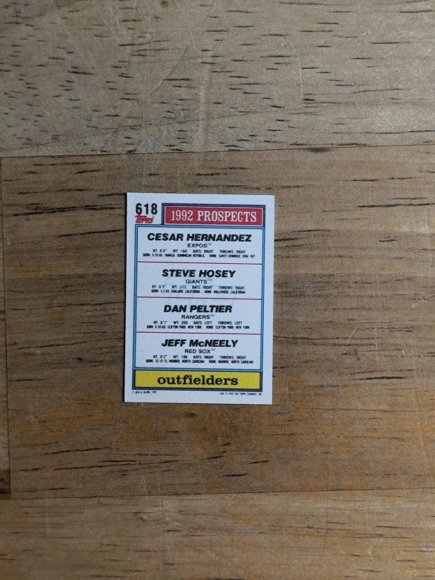 1992 Topps Micro #618 Steve Hosey/Dan Peltier