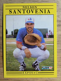 1991 Fleer #248 Nelson Santovenia