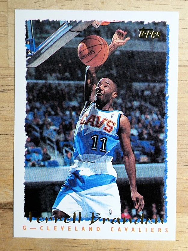 1994-95 Topps #251 Terrell Brandon
