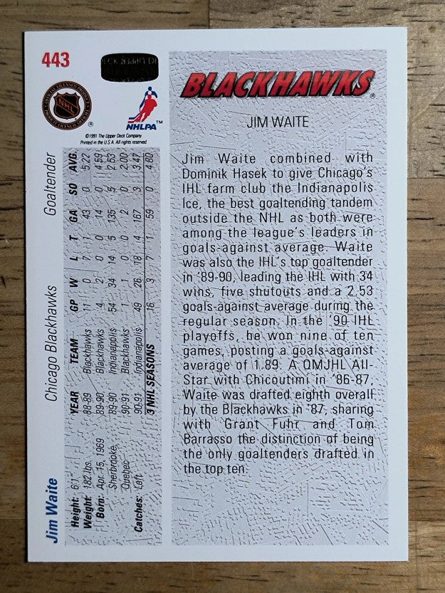 1991-92 Upper Deck #443 Jim Waite FUDC