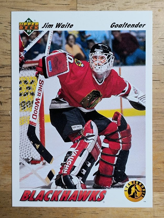 1991-92 Upper Deck #443 Jim Waite FUDC