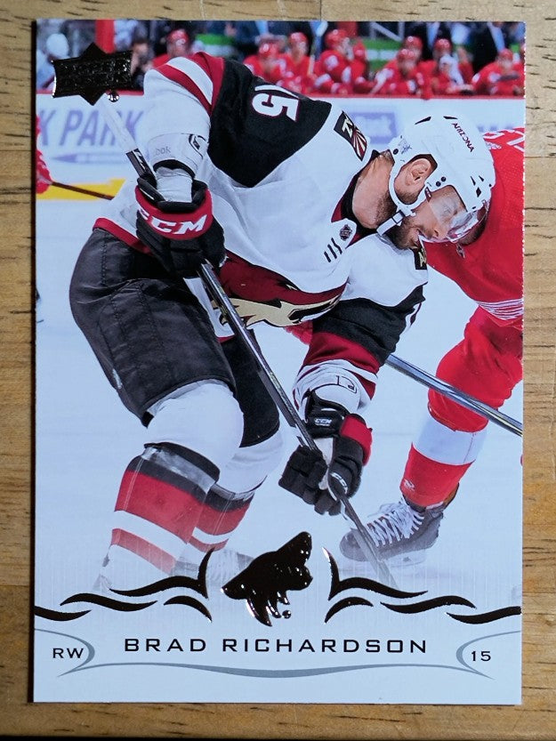 2018-19 Upper Deck #258 Brad Richardson