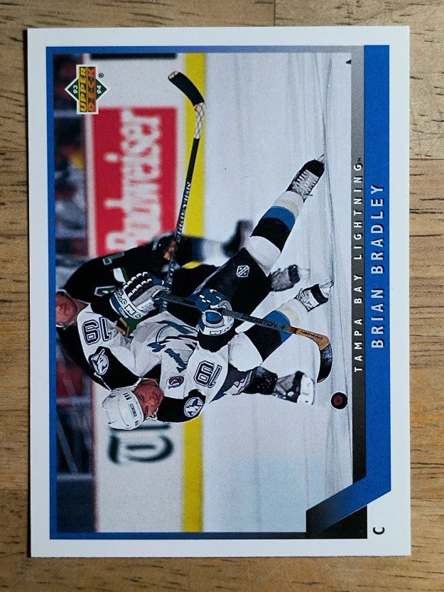 1993-94 Upper Deck #121 Brian Bradley