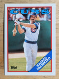 1988 Topps #186 Rafael Palmeiro