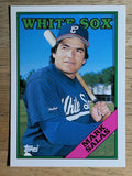 1988 Topps Traded #99T Mark Salas
