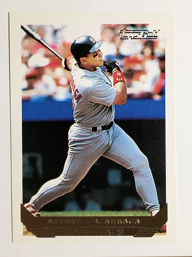 1993 Topps Gold #173 Andres Galarraga