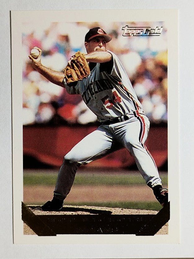 1993 Topps Gold #372 Rod Nichols