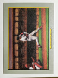 2006 Topps Turkey Red #572 Albert Pujols At Bat CL