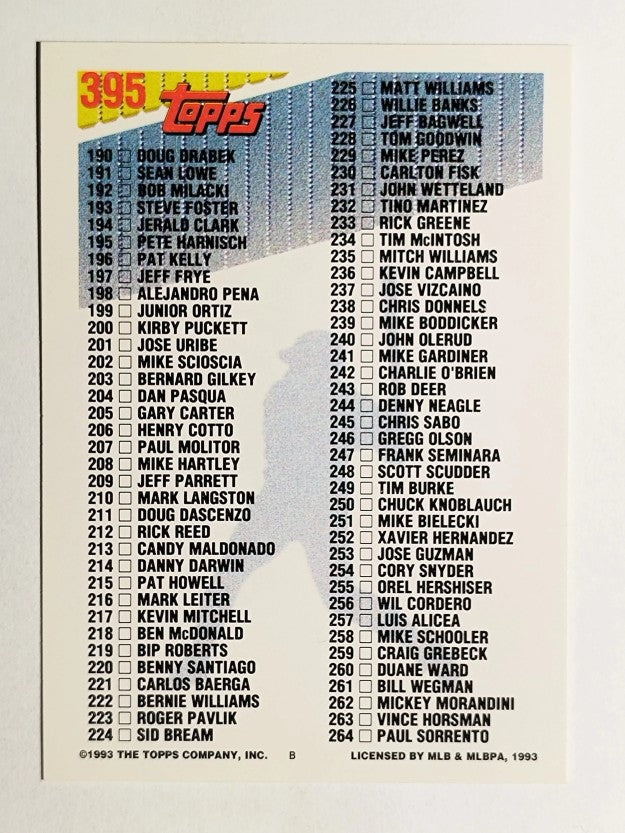 1993 Topps #395 CL 133-264