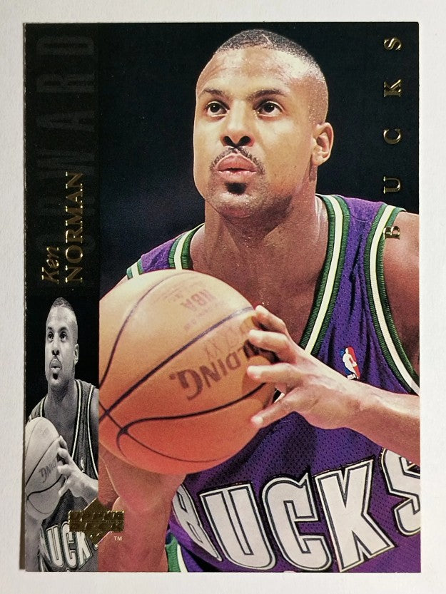 1993-94 Upper Deck SE #94 Ken Norman