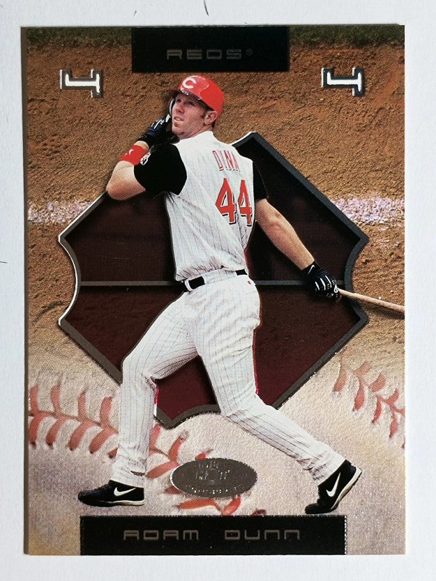 2002 Hot Prospects #53 Adam Dunn