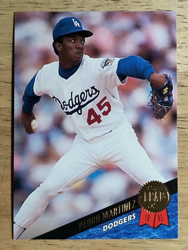 1993 Leaf #163 Pedro Martinez