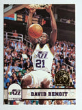 1993-94 Hoops Fifth Anniversary Gold #213 David Benoit