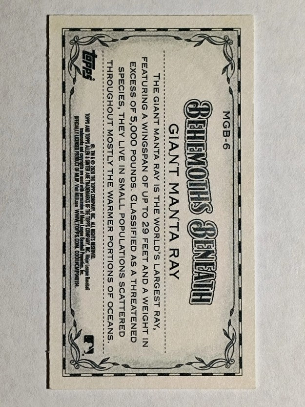2020 Topps Allen and Ginter Mini Behemoths Beneath #MGB6 Giant Manta Ray