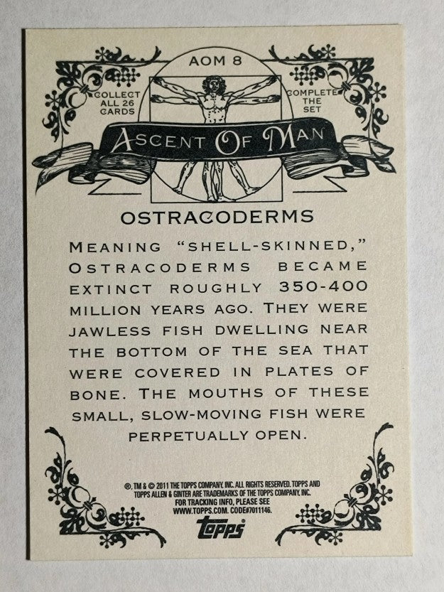 2011 Topps Allen and Ginter Ascent of Man #AOM8 Ostracoderms