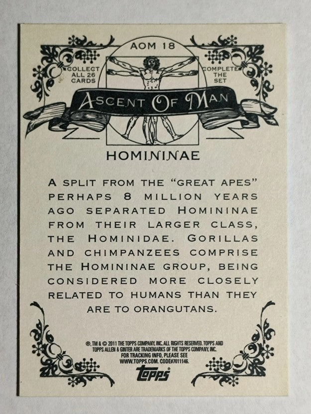 2011 Topps Allen and Ginter Ascent of Man #AOM18 Homininae