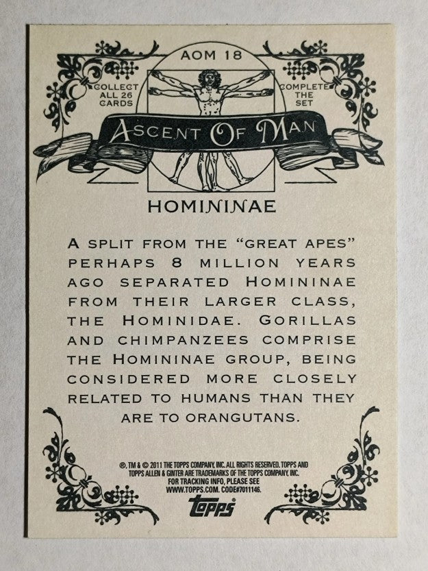 2011 Topps Allen and Ginter Ascent of Man #AOM18 Homininae