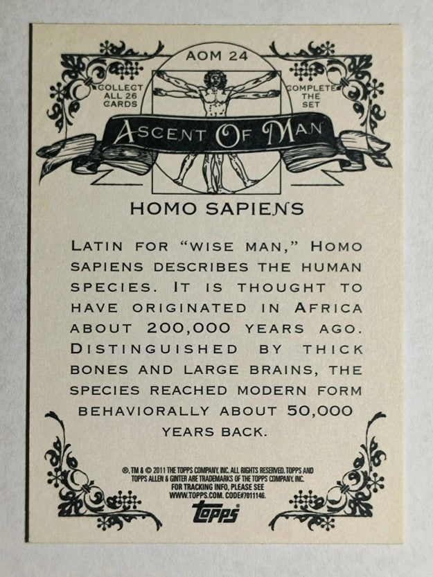 2011 Topps Allen and Ginter Ascent of Man #AOM24 Homo sapiens