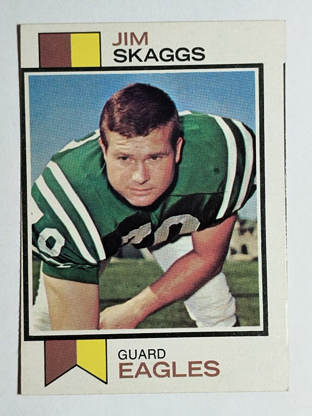 1973 Topps #294 Jim Skaggs (VGEX)