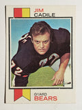1973 Topps #353 Jim Cadile (EX)