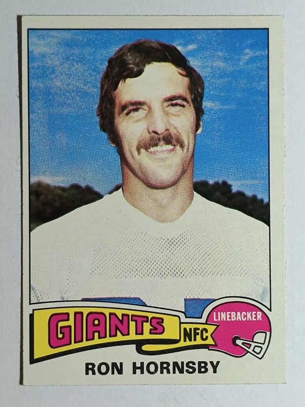 1975 Topps #87 Ron Hornsby (EXMT)