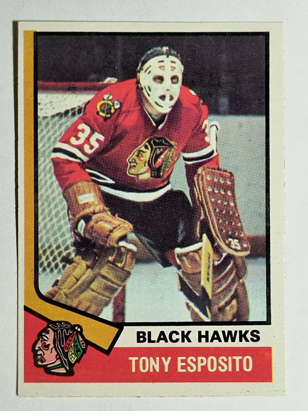 1974-75 Topps #170 Tony Esposito (EXMT)