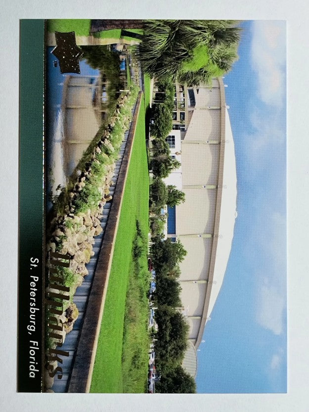 2010 Upper Deck #567 Tampa Bay Rays