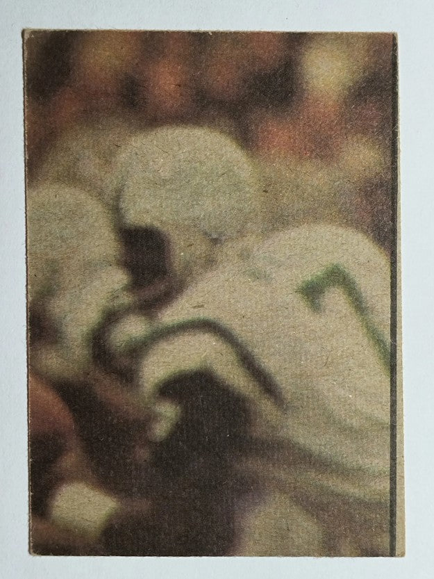 1973 Topps Team Checklists #5 Cincinnati Bengals (GOOD)