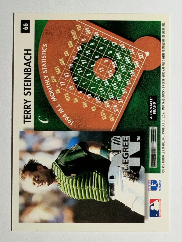 1995 Summit Nth Degree #66 Terry Steinbach