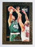 1994-95 Hoops #432 Dino Radja GM