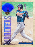 1995 Leaf #289 Mike Blowers