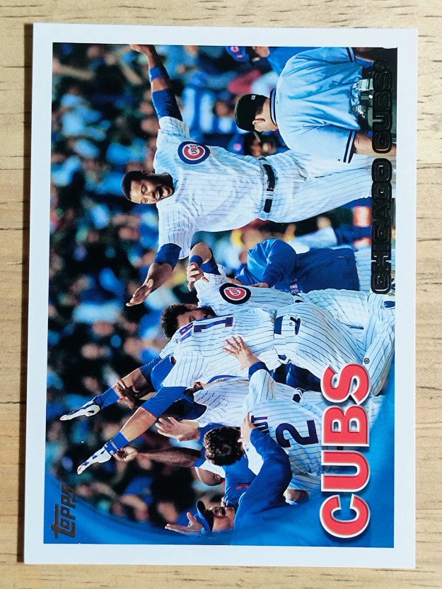 2010 Topps #328 Chicago Cubs