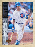 1994 Upper Deck #328 Derrick May