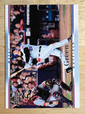 2007 Upper Deck #379 Shawn Green