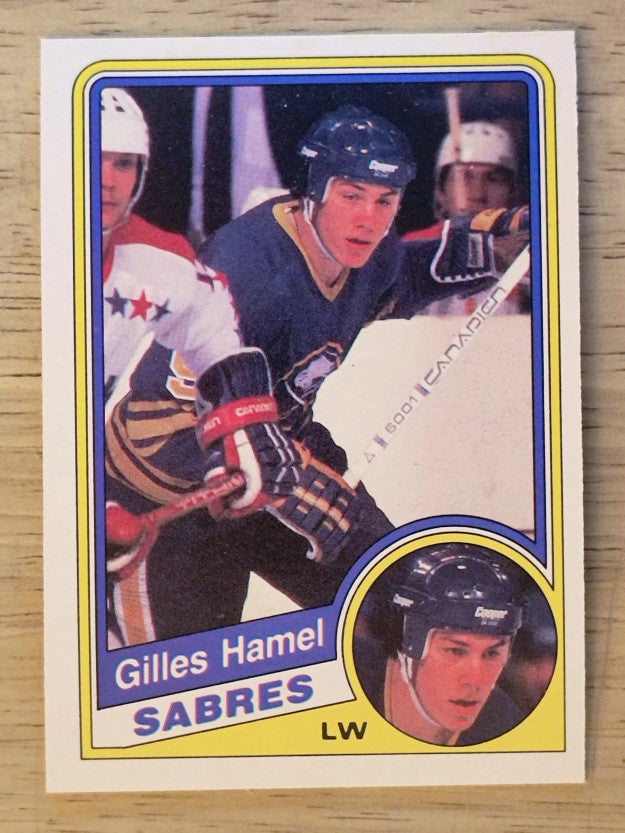1984-85 O-Pee-Chee #22 Gilles Hamel RC