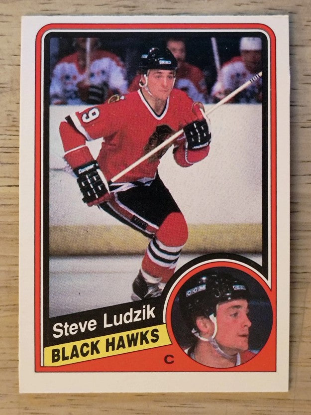 1984-85 O-Pee-Chee #38 Steve Ludzik