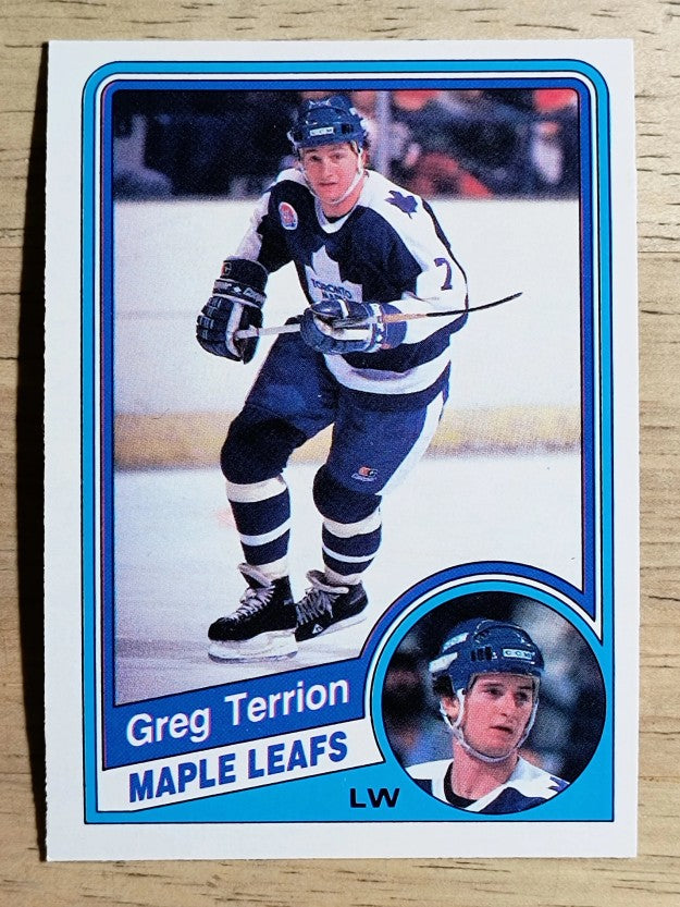 1984-85 O-Pee-Chee #312 Greg Terrion