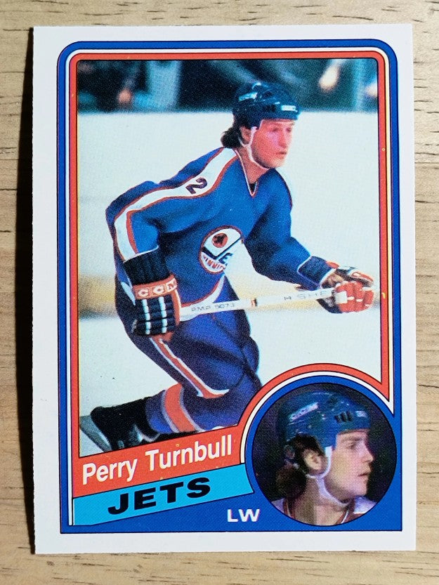 1984-85 O-Pee-Chee #349 Perry Turnbull