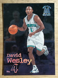 1998-99 SkyBox Molten Metal #13 David Wesley