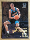 1998-99 SkyBox Molten Metal #31 Zydrunas Ilgauskas