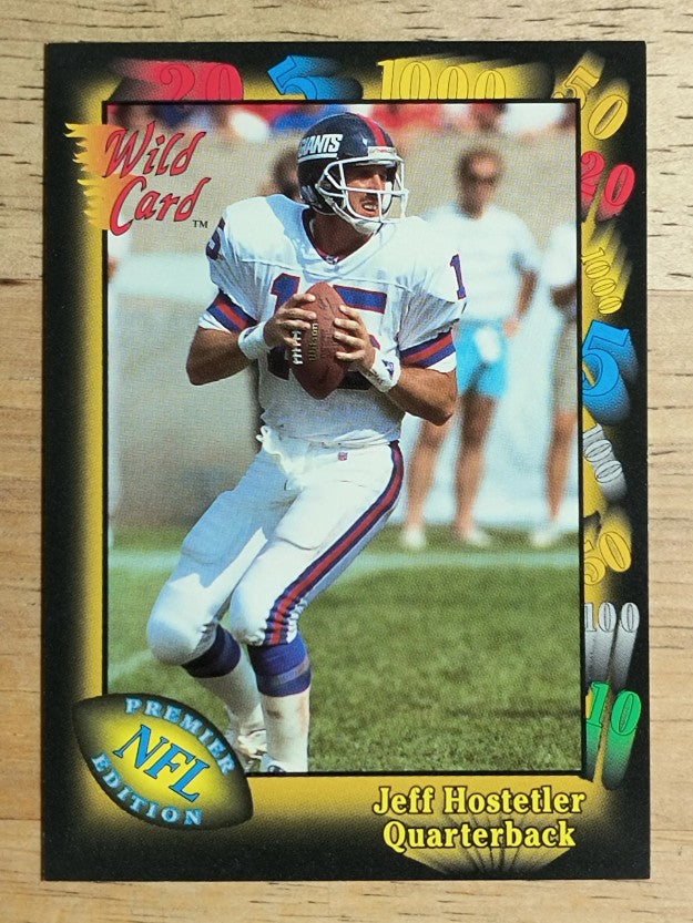 1991 Wild Card #141 Jeff Hostetler