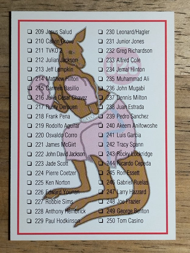 1991 Kayo #25 Checklist 167-250